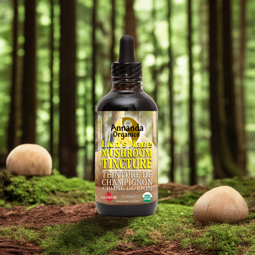 Organic Lion's Mane Tincture from Annanda Organic Mushrooms