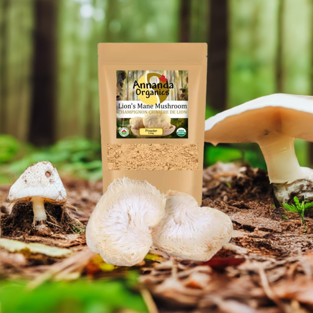 Organic Lions mane powder
